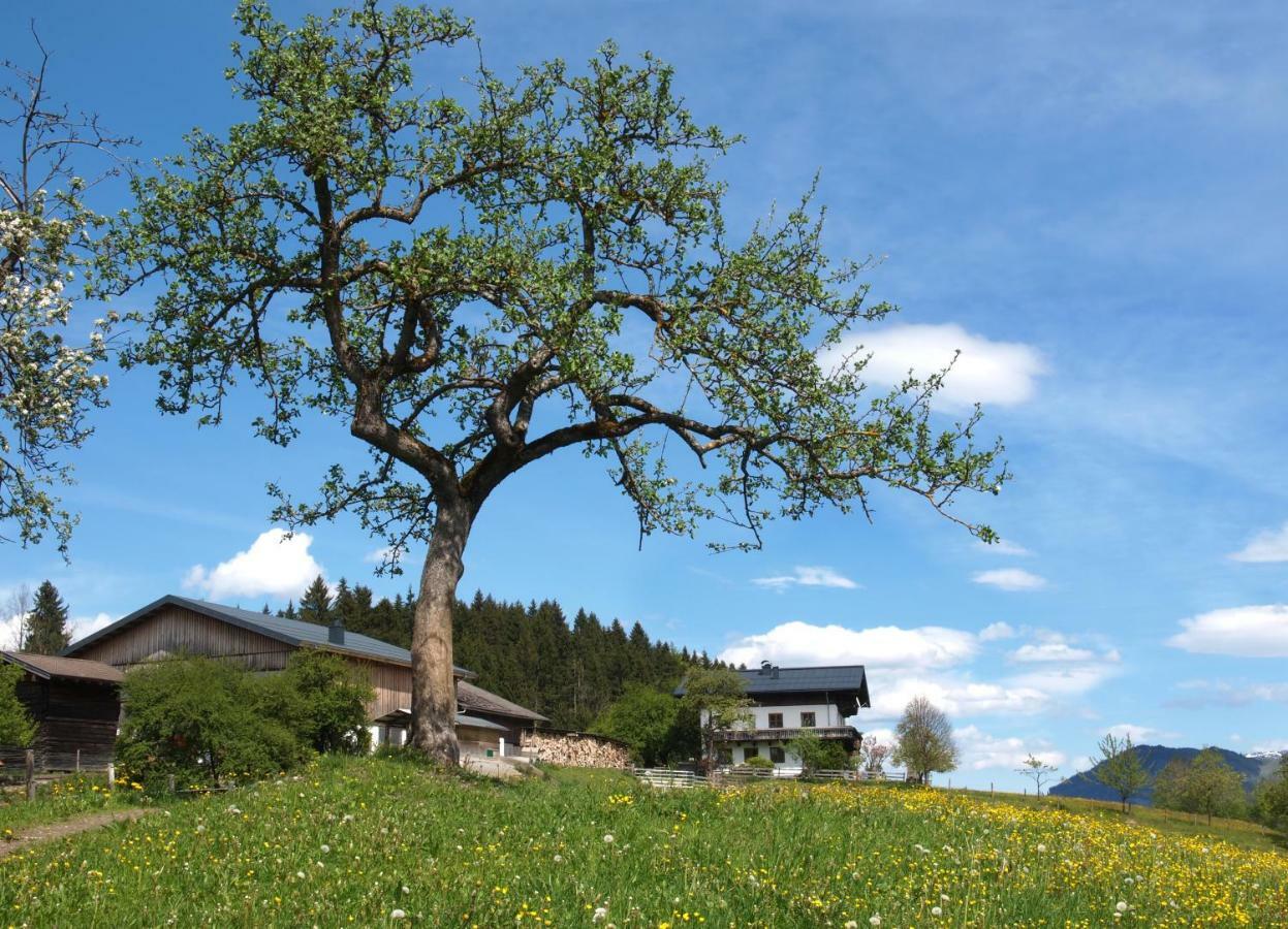 Villa Unterhofgut Goldegg Esterno foto