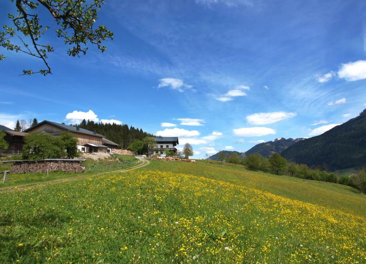 Villa Unterhofgut Goldegg Esterno foto